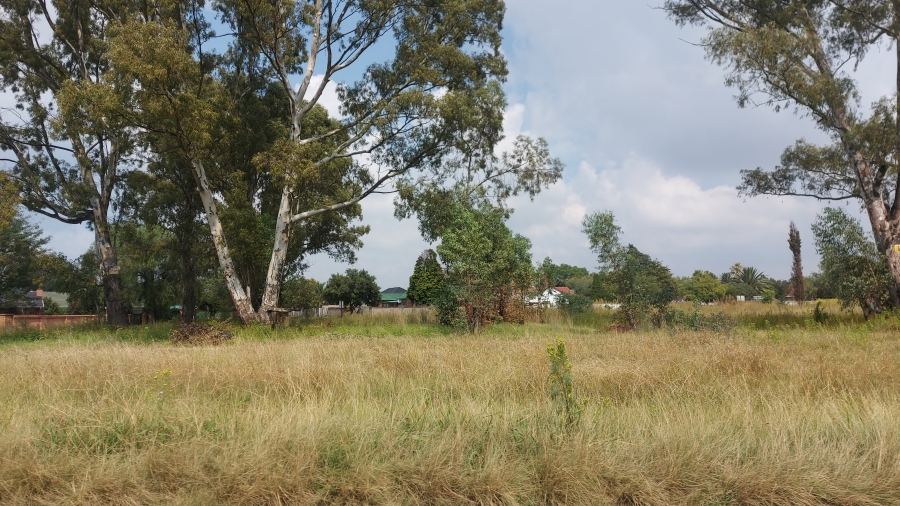 0 Bedroom Property for Sale in Modder East Gauteng