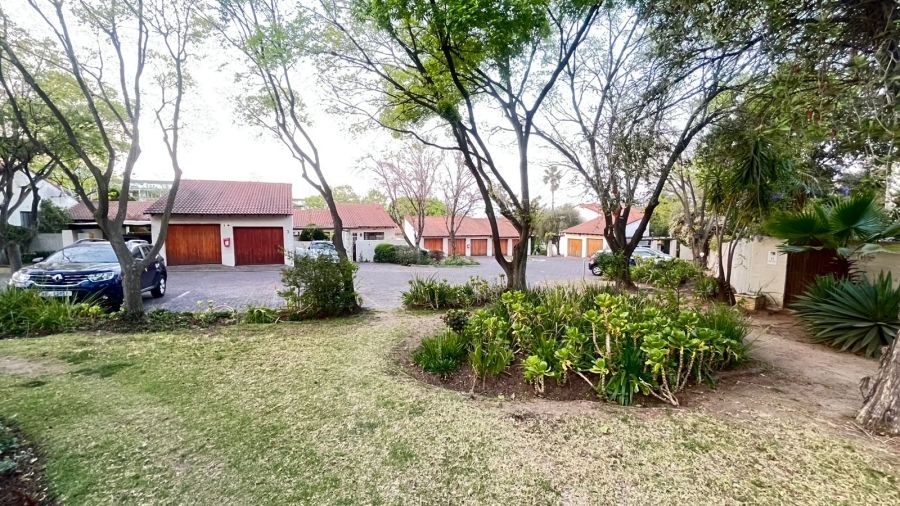 To Let 3 Bedroom Property for Rent in Buccleuch Gauteng