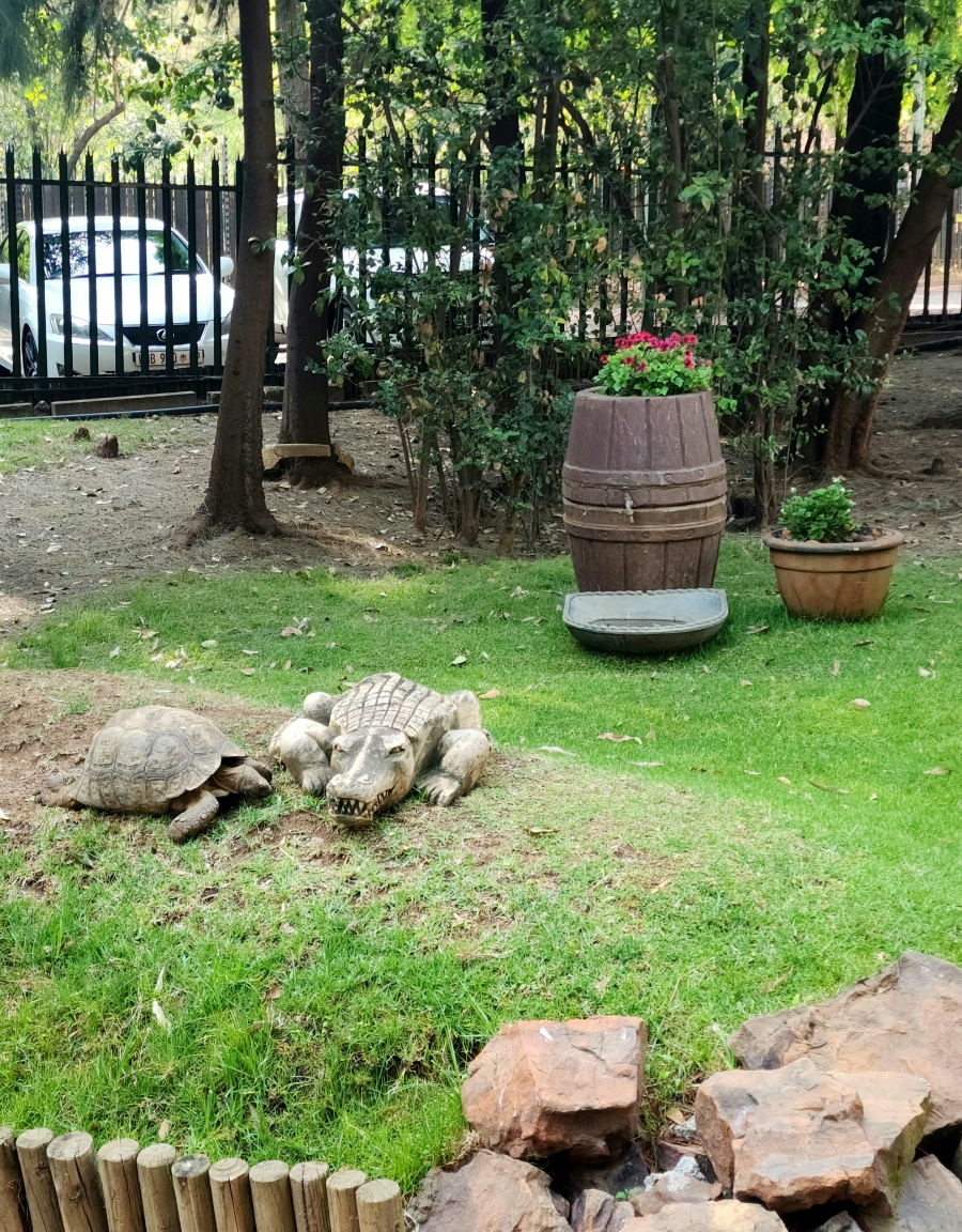 Commercial Property for Sale in Oriel Gauteng