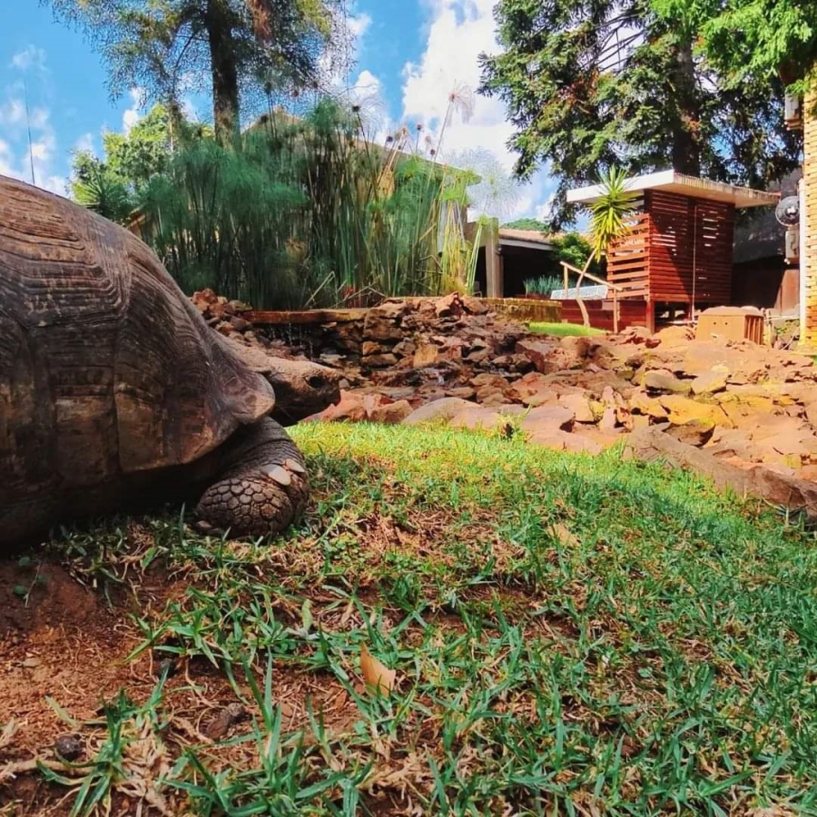 Commercial Property for Sale in Oriel Gauteng