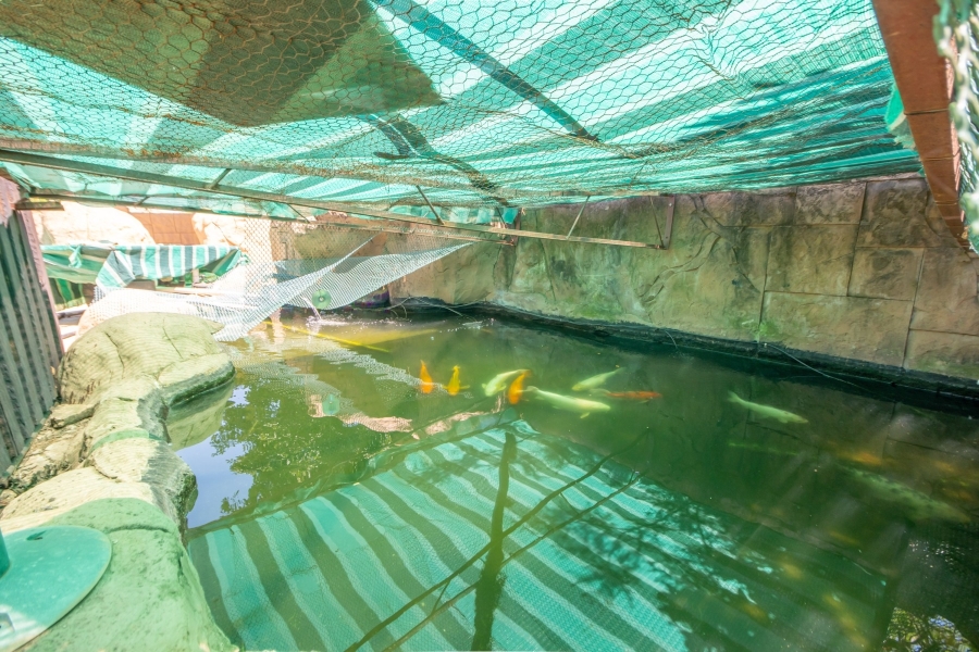 3 Bedroom Property for Sale in Breaunanda Gauteng