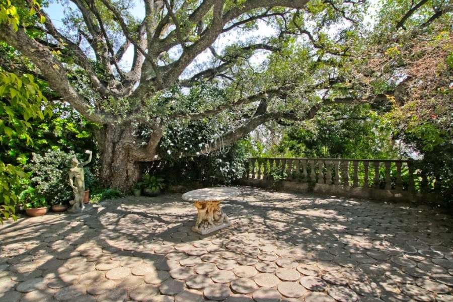 To Let 2 Bedroom Property for Rent in Westcliff Gauteng