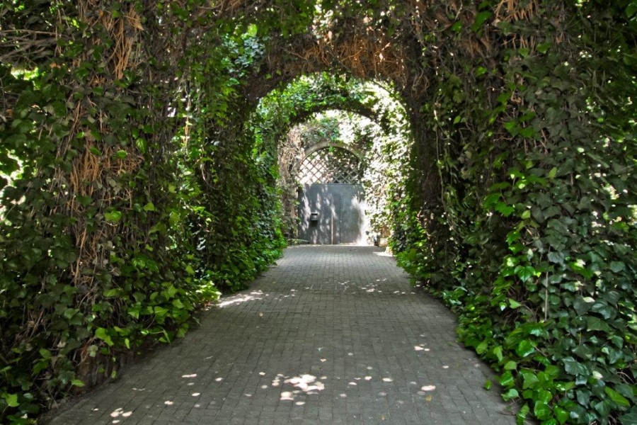 To Let 2 Bedroom Property for Rent in Westcliff Gauteng