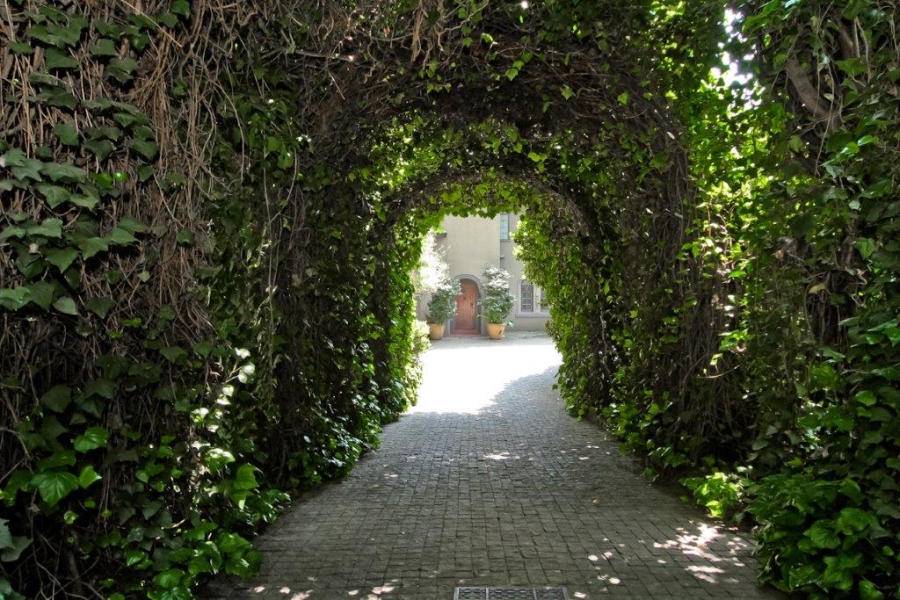 To Let 2 Bedroom Property for Rent in Westcliff Gauteng