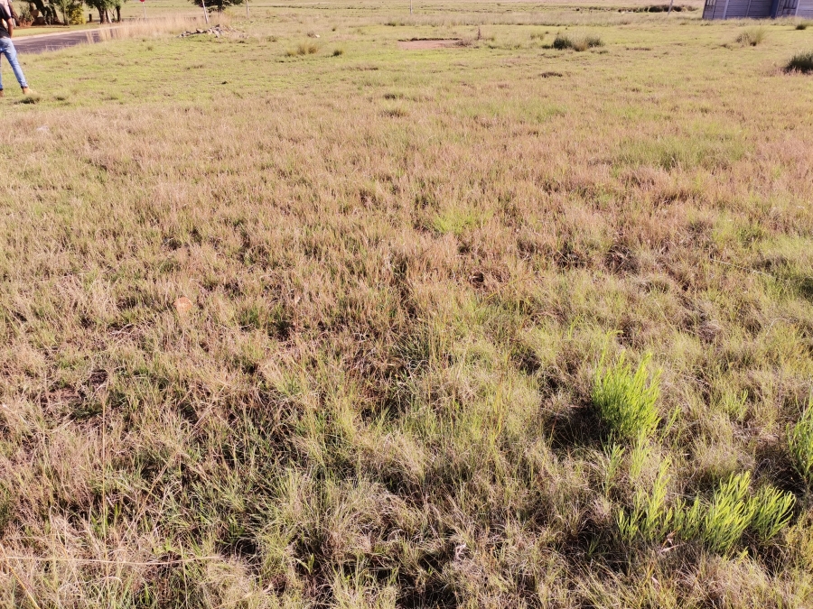 0 Bedroom Property for Sale in Struisbult Gauteng