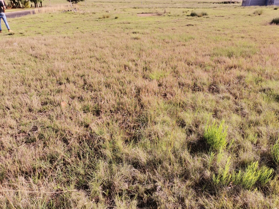 0 Bedroom Property for Sale in Struisbult Gauteng