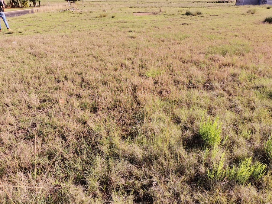 0 Bedroom Property for Sale in Struisbult Gauteng