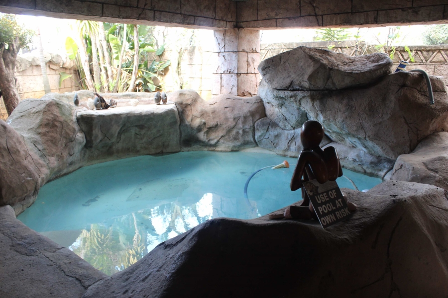 16 Bedroom Property for Sale in Aston Manor Gauteng