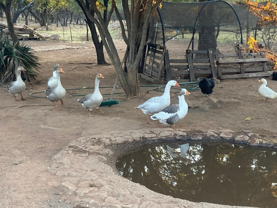 4 Bedroom Property for Sale in De Wagendrif Gauteng