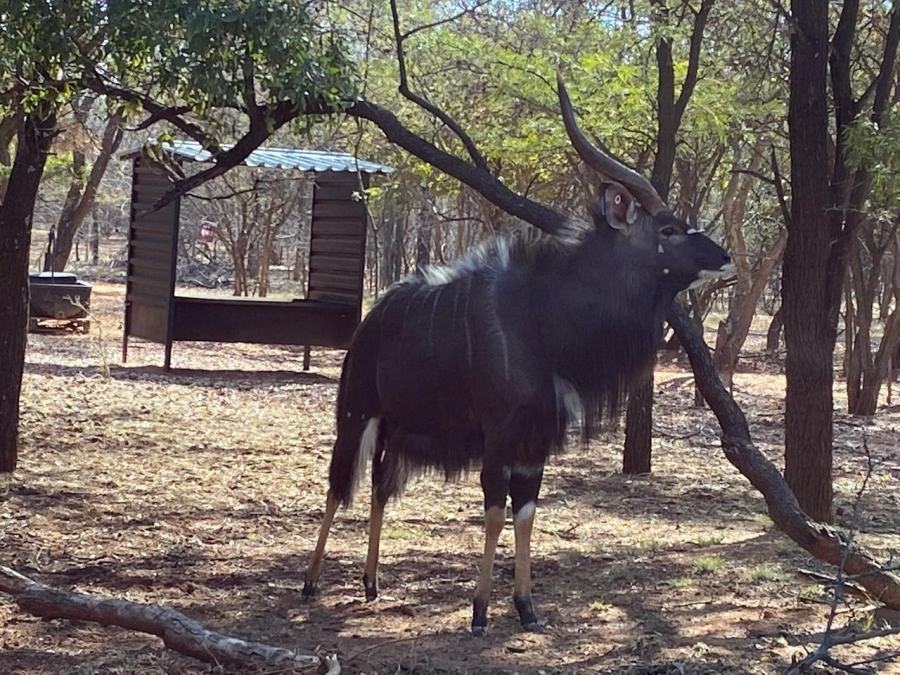 4 Bedroom Property for Sale in De Wagendrif Gauteng