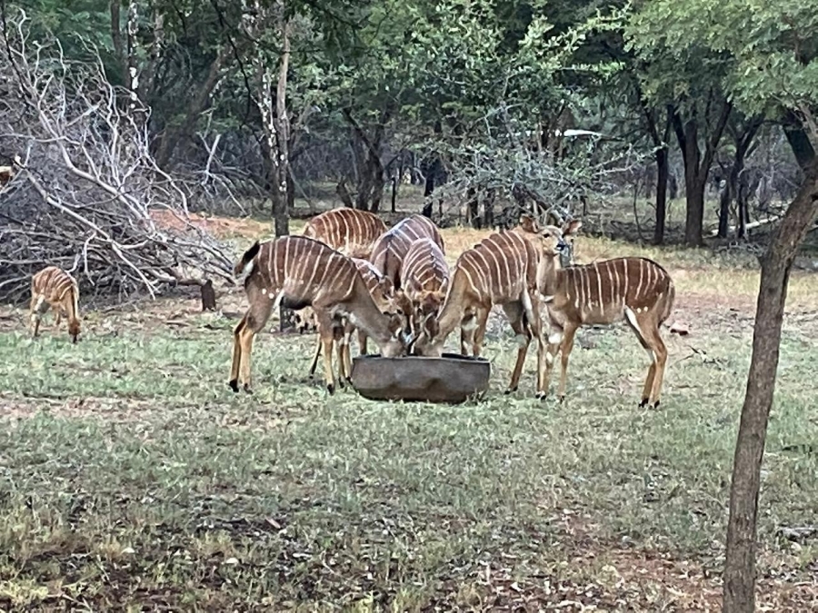 4 Bedroom Property for Sale in De Wagendrif Gauteng