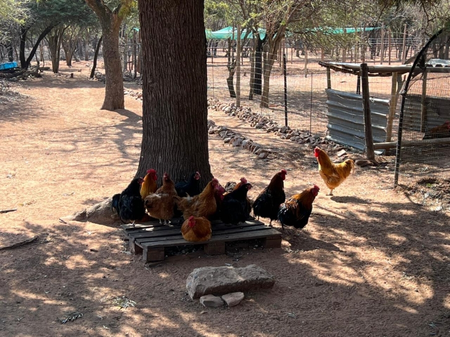 4 Bedroom Property for Sale in De Wagendrif Gauteng