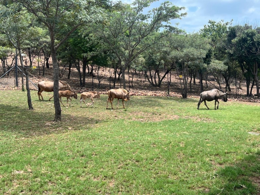 4 Bedroom Property for Sale in De Wagendrif Gauteng