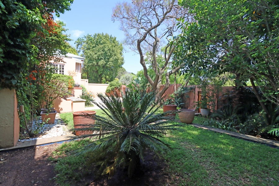To Let 4 Bedroom Property for Rent in Parkwood Gauteng