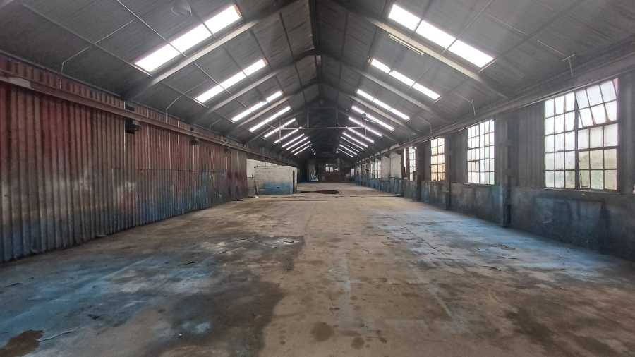 To Let commercial Property for Rent in Meyerton Park Gauteng