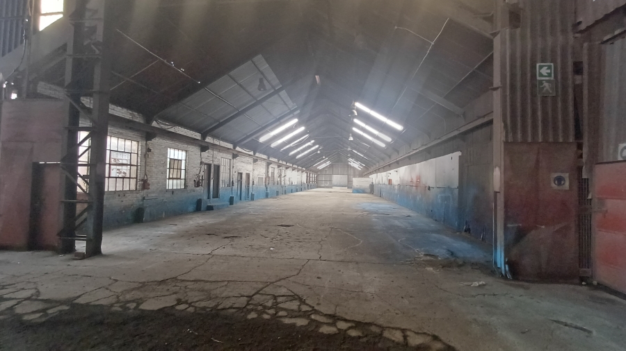 To Let commercial Property for Rent in Meyerton Park Gauteng