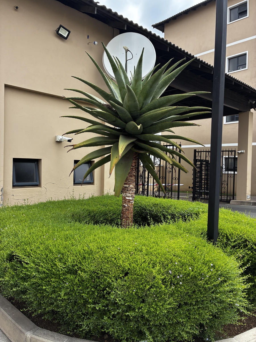 3 Bedroom Property for Sale in Boksburg East Gauteng