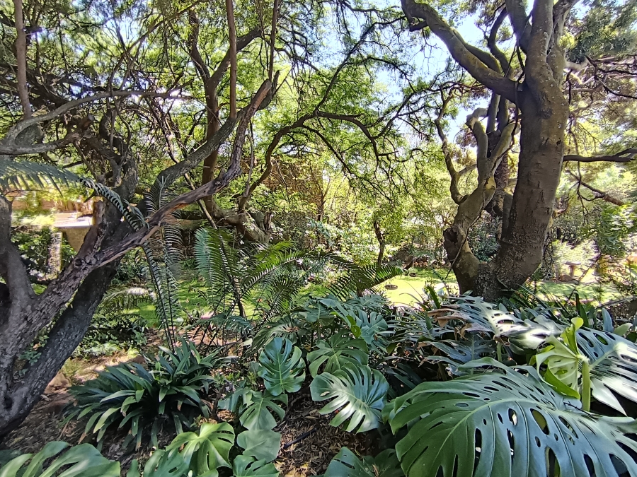 5 Bedroom Property for Sale in South Crest Gauteng