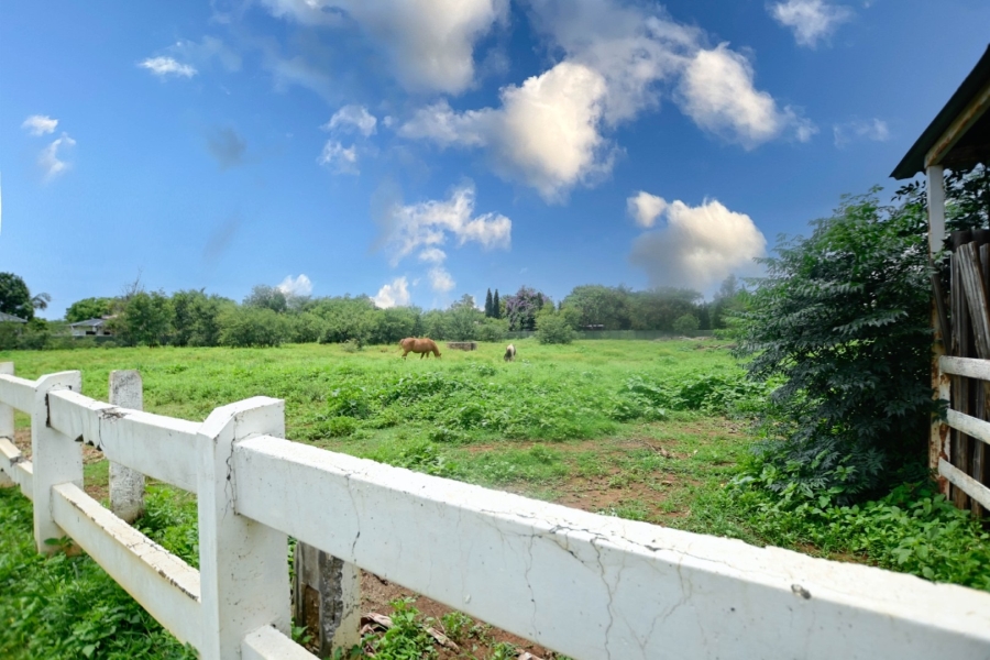 19 Bedroom Property for Sale in Winternest Gauteng