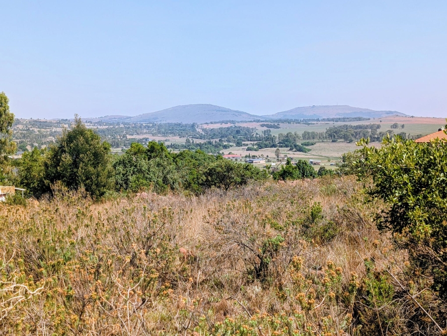 0 Bedroom Property for Sale in Blue Saddle Ranches Gauteng