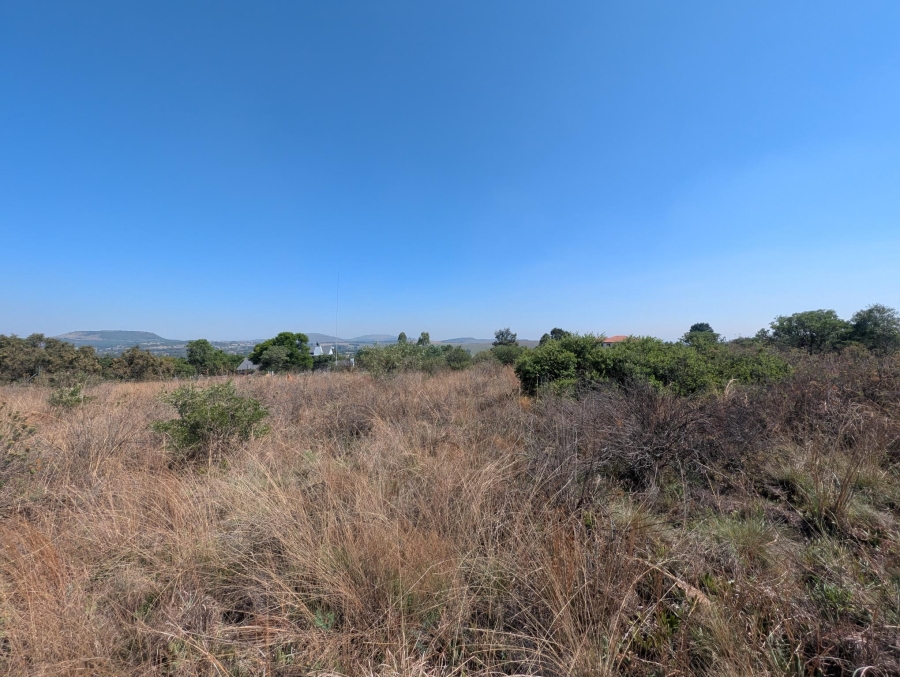 0 Bedroom Property for Sale in Blue Saddle Ranches Gauteng