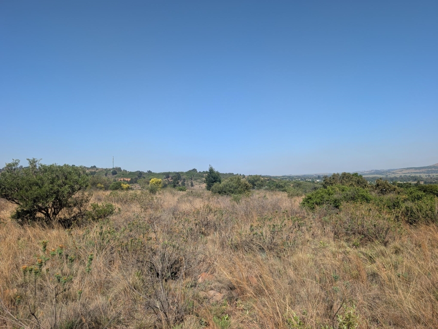 0 Bedroom Property for Sale in Blue Saddle Ranches Gauteng