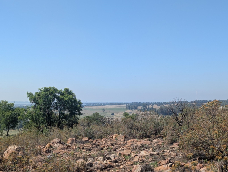 0 Bedroom Property for Sale in Blue Saddle Ranches Gauteng