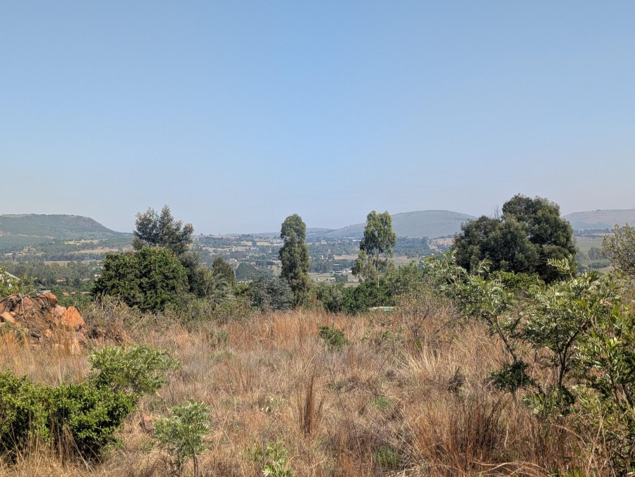 0 Bedroom Property for Sale in Blue Saddle Ranches Gauteng