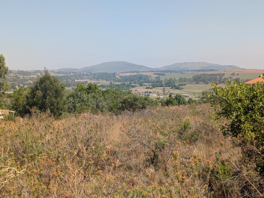 0 Bedroom Property for Sale in Blue Saddle Ranches Gauteng