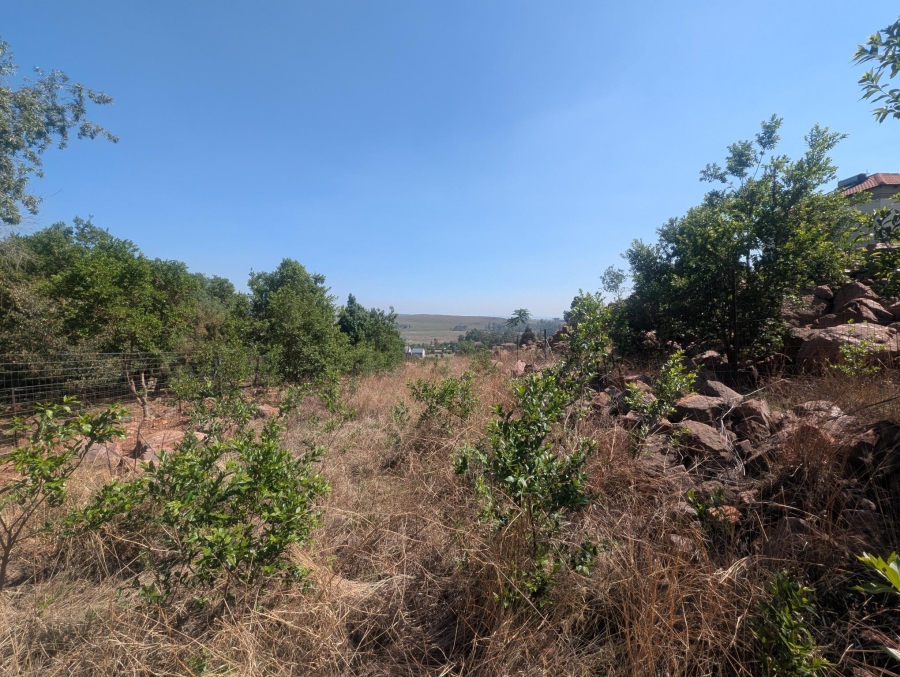 0 Bedroom Property for Sale in Blue Saddle Ranches Gauteng