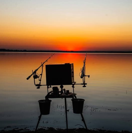 4 Bedroom Property for Sale in Vaal Marina Gauteng