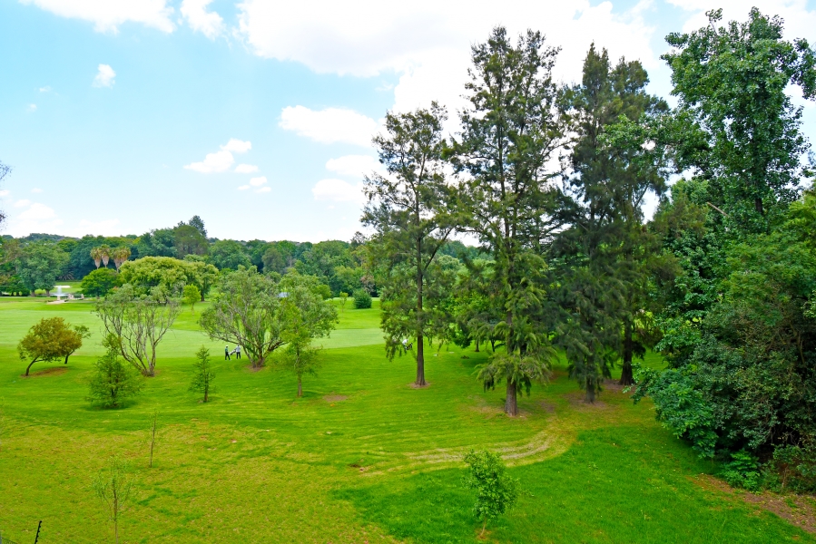 To Let 3 Bedroom Property for Rent in Parkwood Gauteng