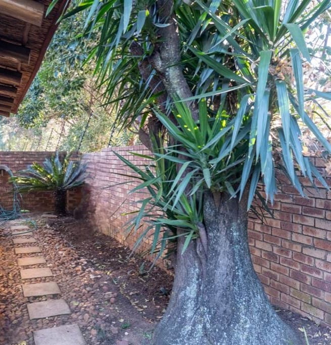 2 Bedroom Property for Sale in Equestria Gauteng