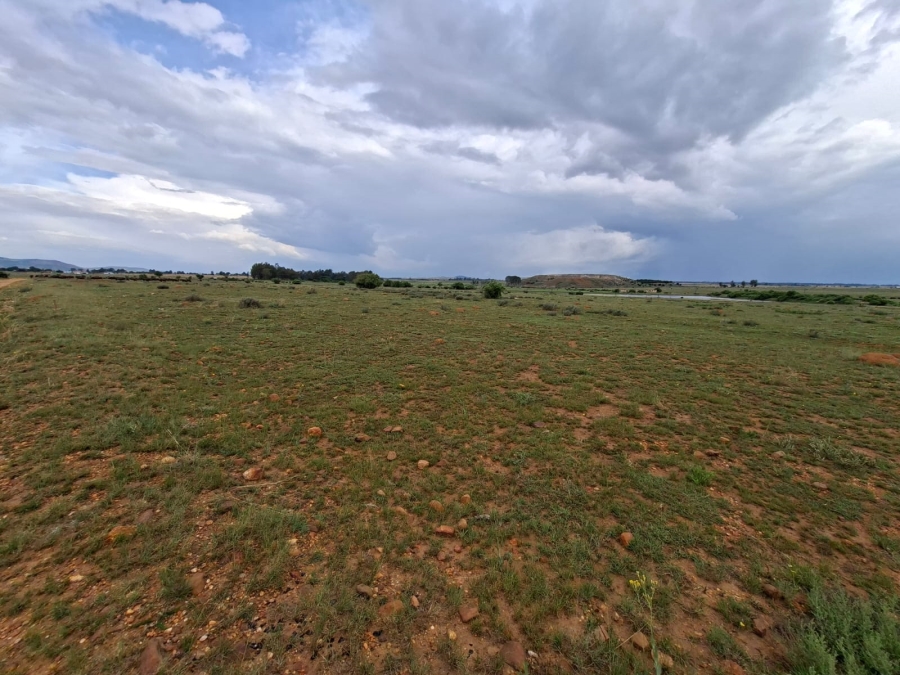 0 Bedroom Property for Sale in Henley on Klip Gauteng