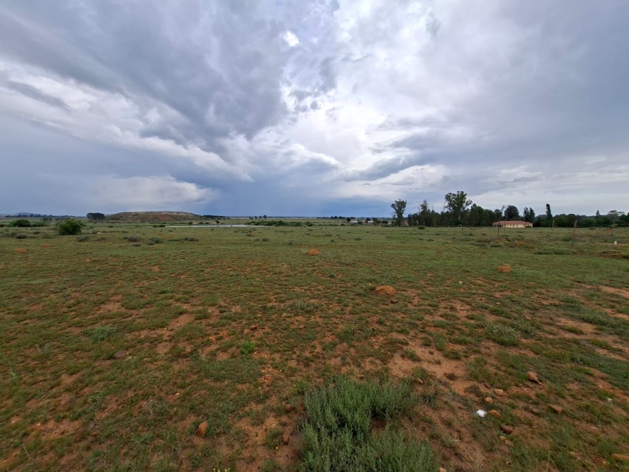 0 Bedroom Property for Sale in Henley on Klip Gauteng