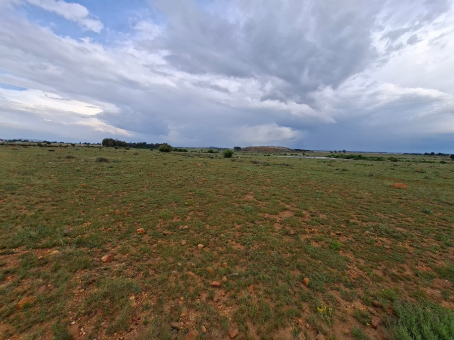 0 Bedroom Property for Sale in Henley on Klip Gauteng