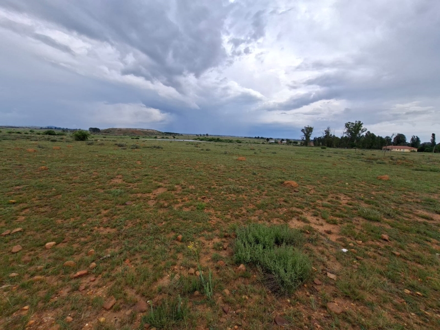 0 Bedroom Property for Sale in Henley on Klip Gauteng