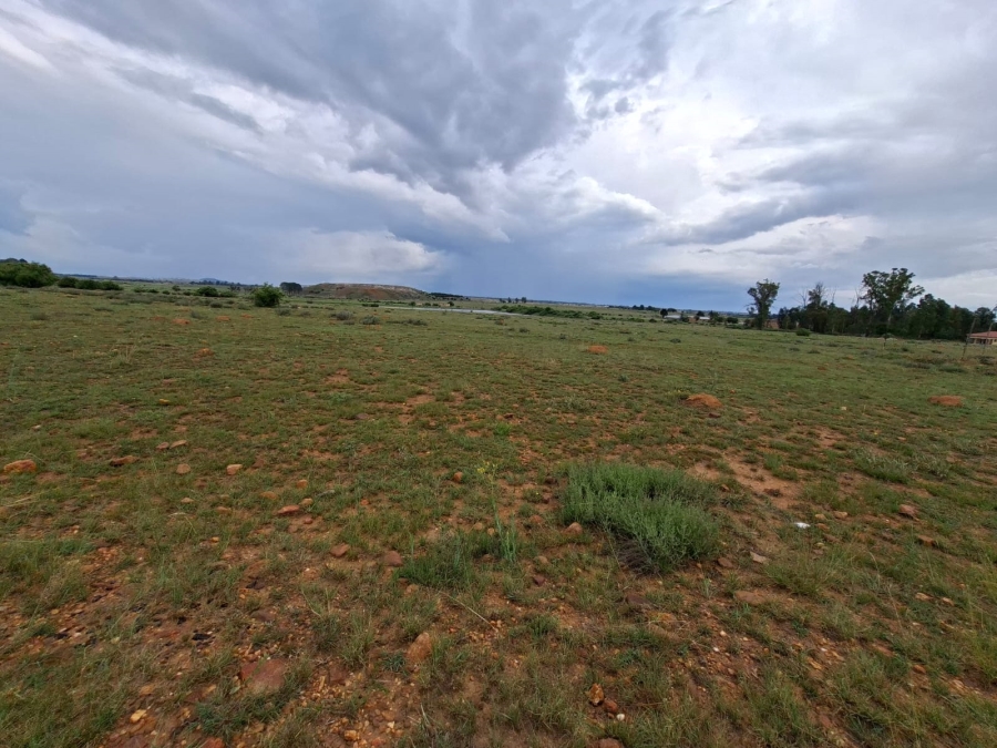 0 Bedroom Property for Sale in Henley on Klip Gauteng