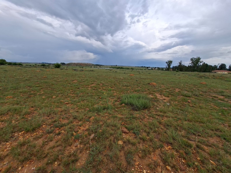 0 Bedroom Property for Sale in Henley on Klip Gauteng