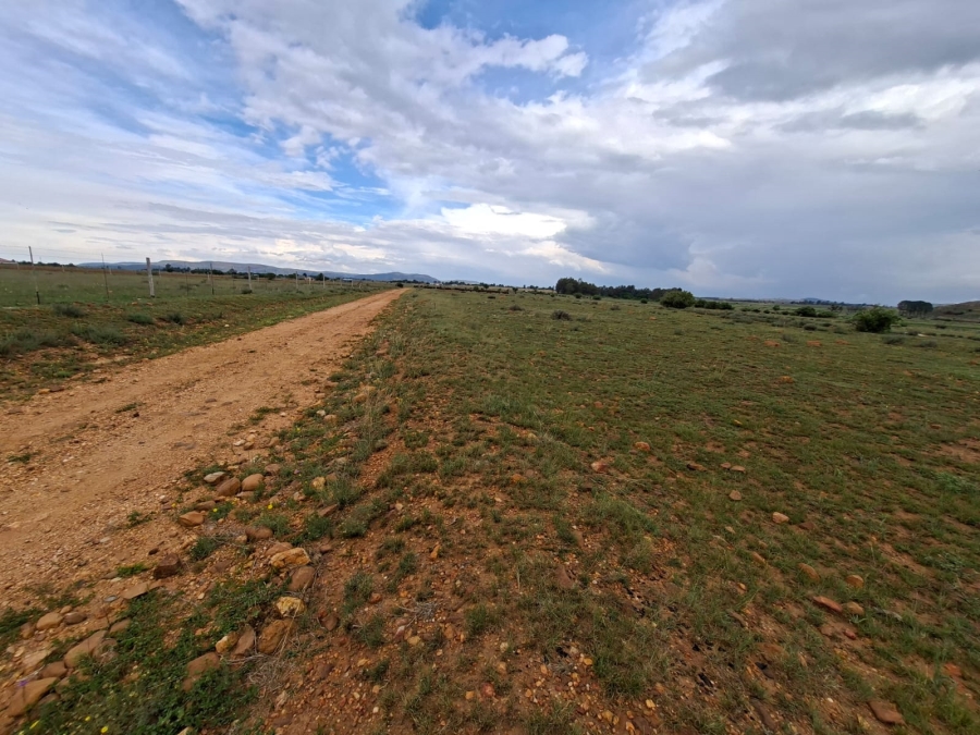 0 Bedroom Property for Sale in Henley on Klip Gauteng