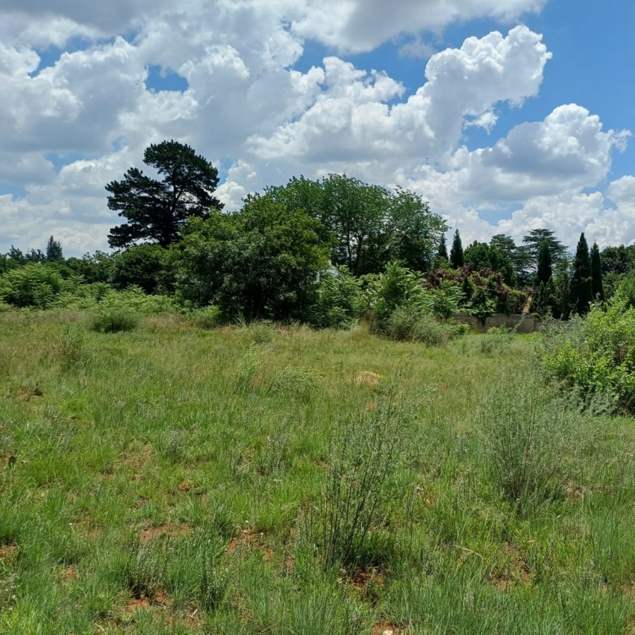 0 Bedroom Property for Sale in Henley on Klip Gauteng