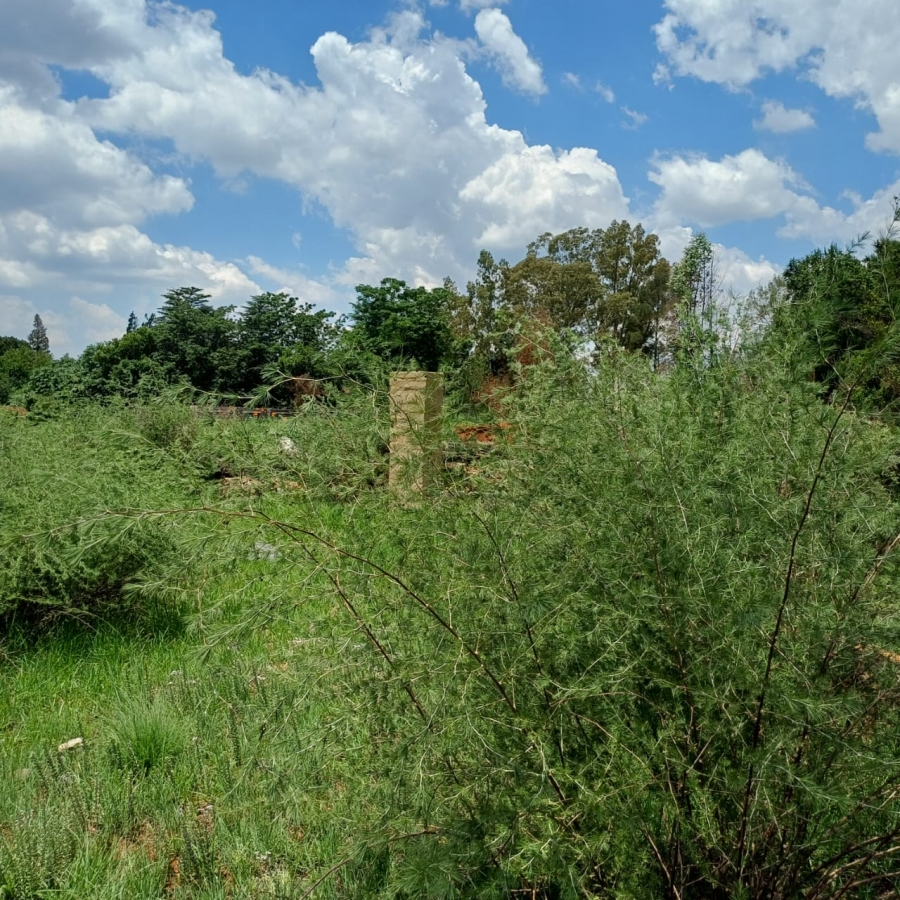 0 Bedroom Property for Sale in Henley on Klip Gauteng