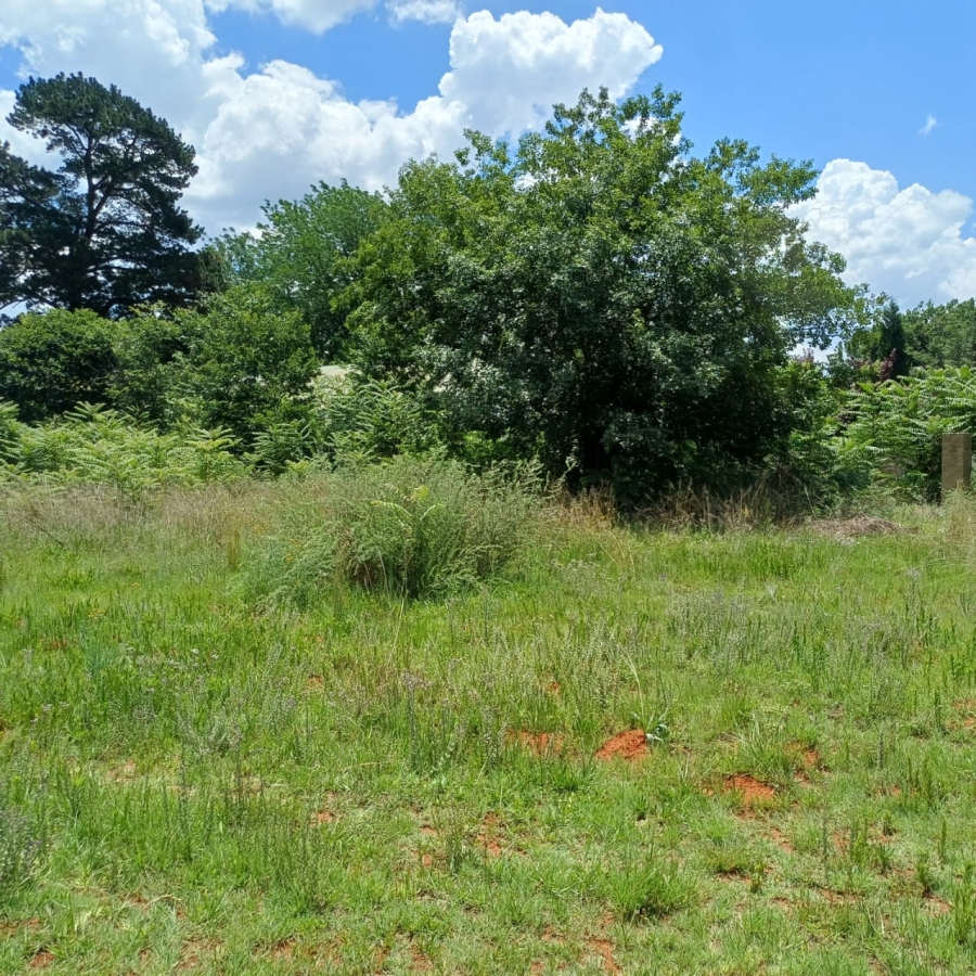 0 Bedroom Property for Sale in Henley on Klip Gauteng