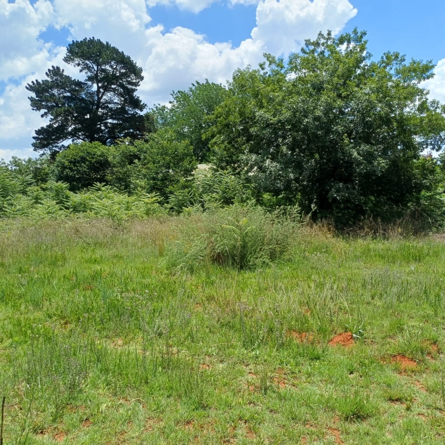 0 Bedroom Property for Sale in Henley on Klip Gauteng