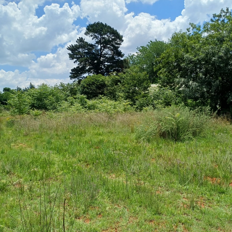 0 Bedroom Property for Sale in Henley on Klip Gauteng