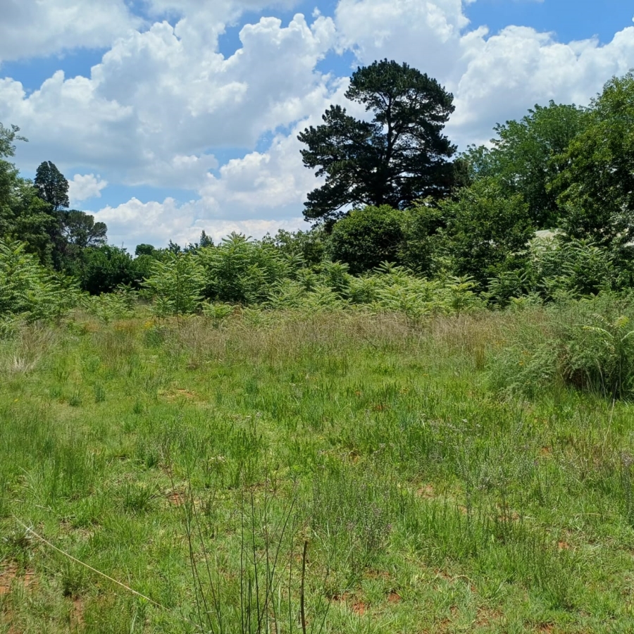 0 Bedroom Property for Sale in Henley on Klip Gauteng