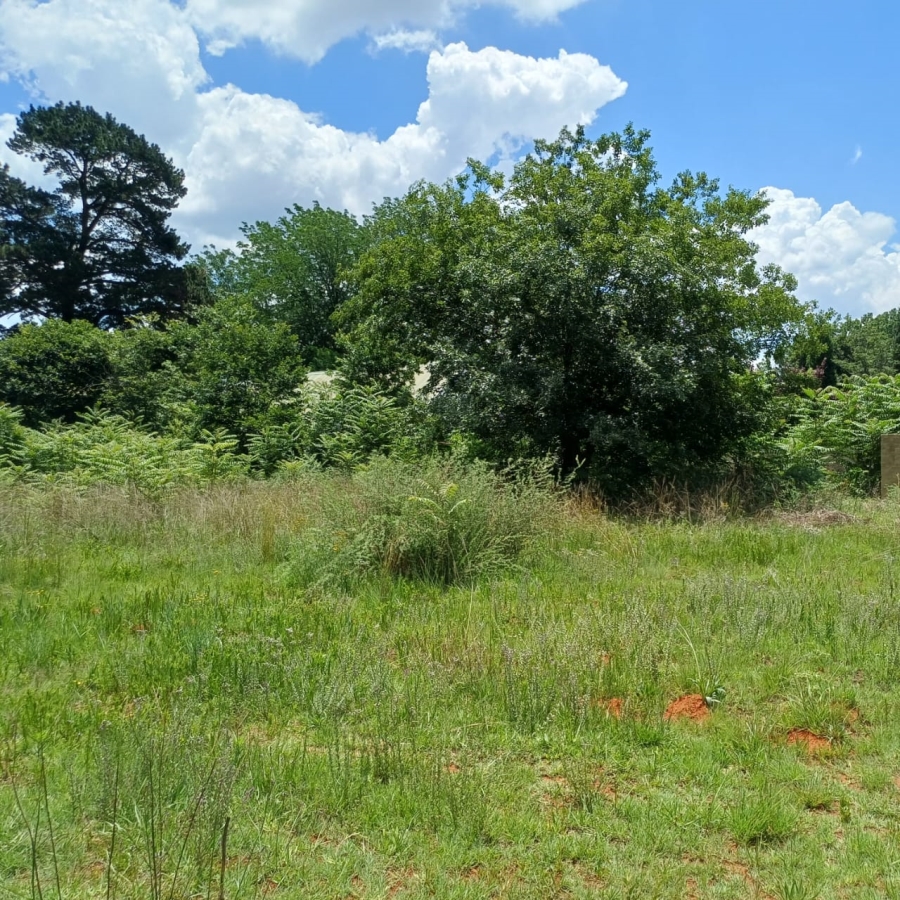 0 Bedroom Property for Sale in Henley on Klip Gauteng