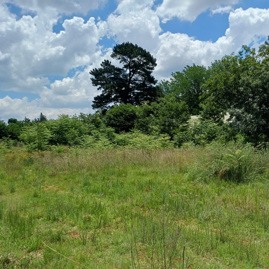 0 Bedroom Property for Sale in Henley on Klip Gauteng