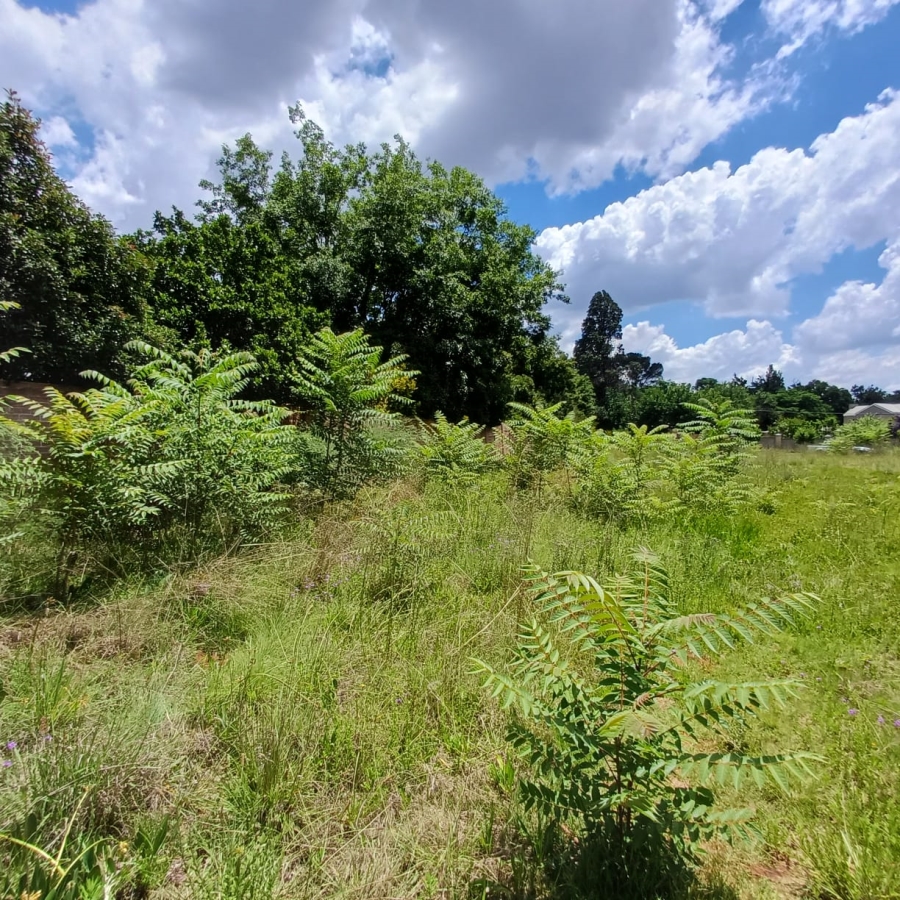 0 Bedroom Property for Sale in Henley on Klip Gauteng