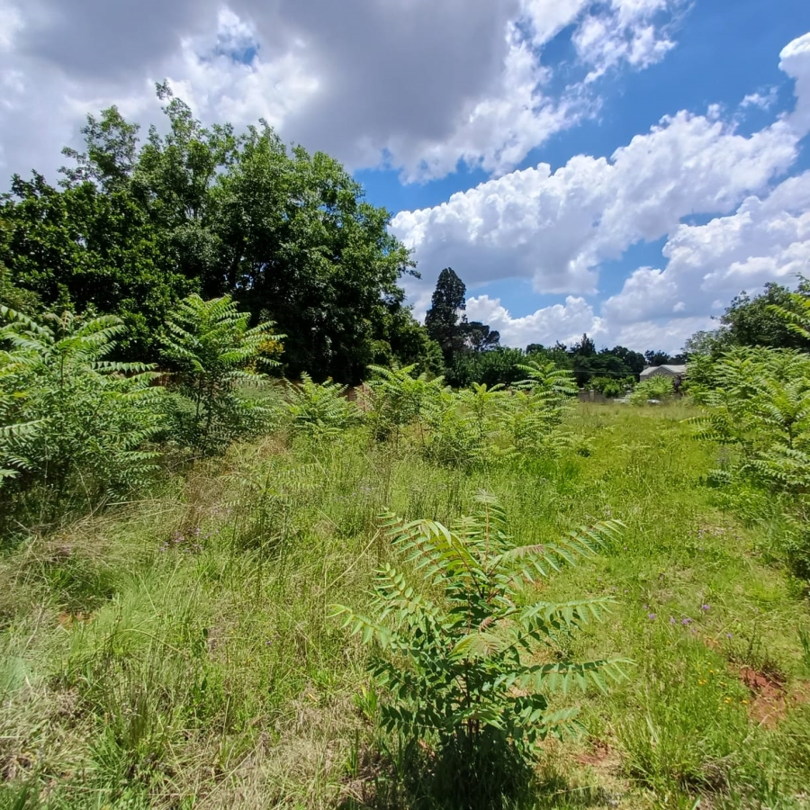 0 Bedroom Property for Sale in Henley on Klip Gauteng